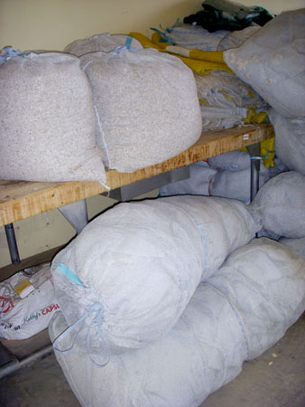 Image of ...Cotton
