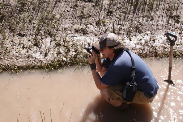 Image of ...James Hill Photographing Equisetum (Photo by 2009 Weed Science Field Crew)