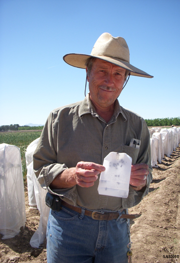 Image of ...Ray Muhyi with a Bag of Flies that will be Used to Pollinate Onions